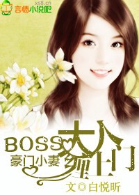 平地机设备司机