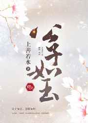 花开上海滩 电视剧