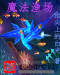 JAVAPARSERHD夫妻