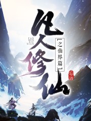 狼群社区论坛在线观看