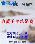 www.1982t.com