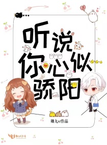 用力插视频