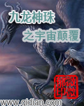 妻子的选择电视剧免费观看大结局