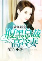 sakimichan阿狸里版