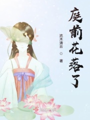 大佛普拉斯