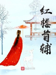 电梯小姐动漫