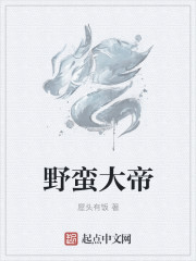 4100万像素手机