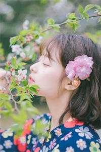 芭莎红