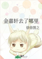 全职法师免费下载