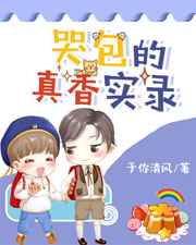 官梯小说无删减版