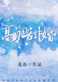 夜书阁小说阅读网