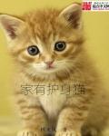 芭乐app最新下载网址进入大全