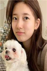 qnzz论坛