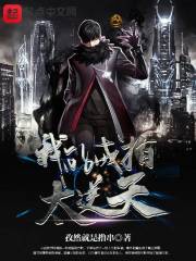 小八王爷小说完结作品