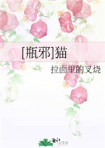 我女婿的女人电视剧国语