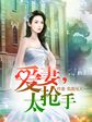 我的姐姐是美女txt下载