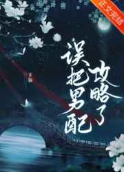 阿宾正传txt小说下