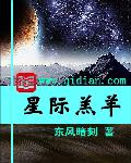 旷野里的星小说