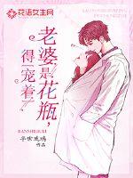 保镖小说