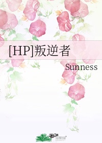 念念手纪