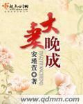 中文字幕奈奈美被公侵犯