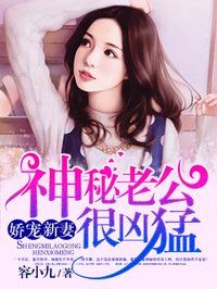 夏至小说