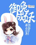 藏经阁播放器