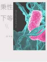 摩登龙争虎斗