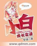 金助理的秘密