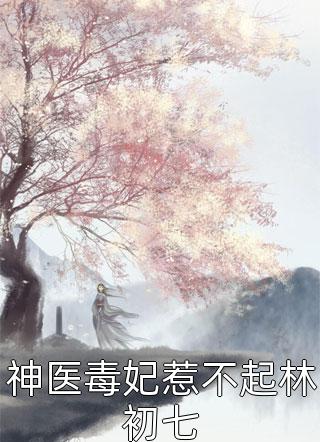 战长沙小说