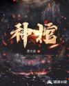 双生侦探