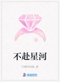 逐光者