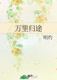 平地机设备司机