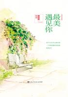 黑莲花的上位小说