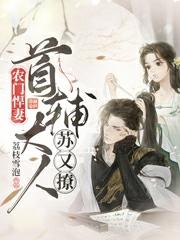 金玉良缘小说