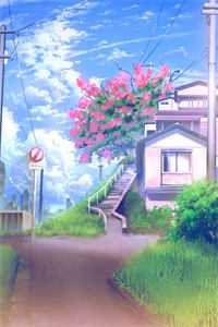 风流村医看妇科