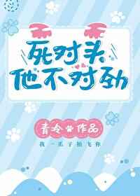 电梯小姐14集动漫免费