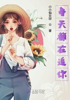 亚洲龙腾小说三宝局长