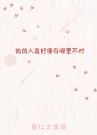 青春禁区小说