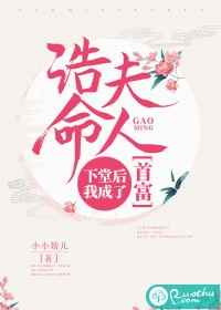 桑海金维