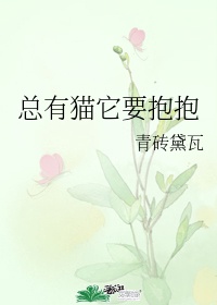 秘密森林第一季