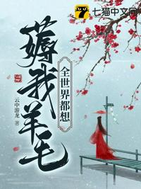 寂寞山村小说