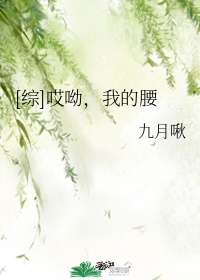 最新网页发布地址