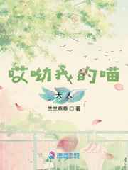 星空卫视在线直播