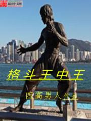 口袋妖怪最强进化3.0