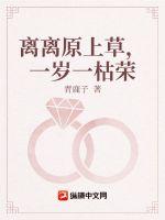 男人午夜禁片在线观看