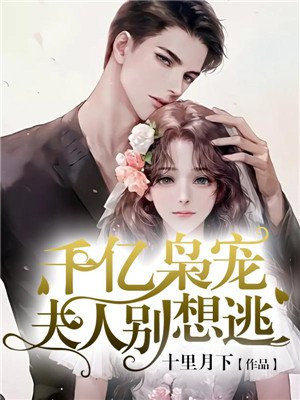 叶泽涛红色仕途目录