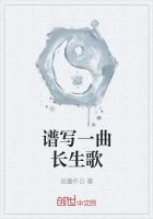 夏天我和小莹姐全文
