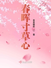 网页紧急升级在线访问新域名
