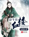 导航犬